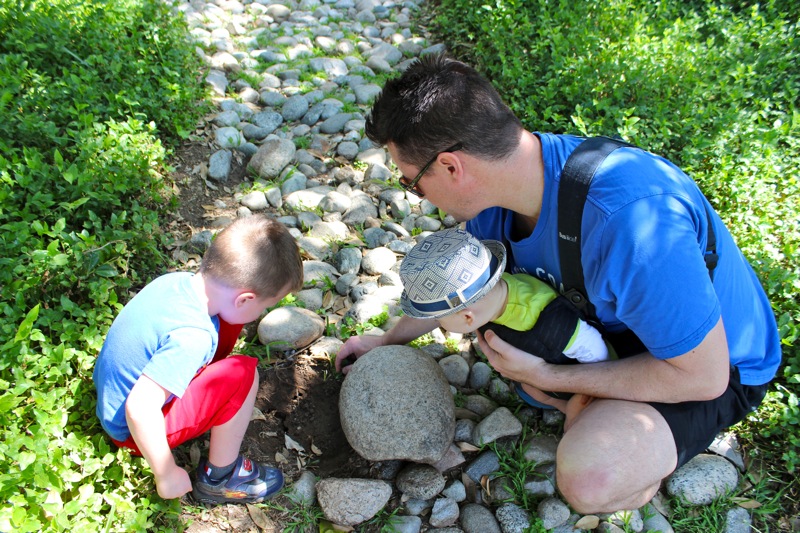 Looking for Creatures