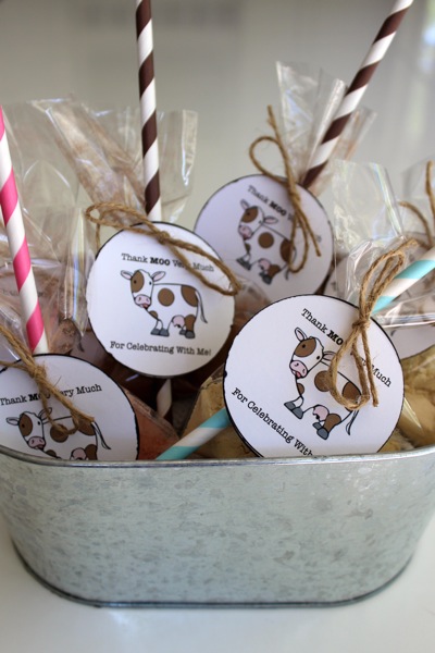 Farm Birthday Party Ideas