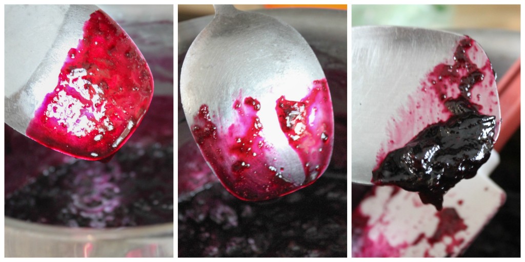 blueberry refrigerator jam test