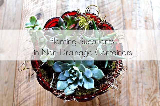 No Drainage?  No Problem!