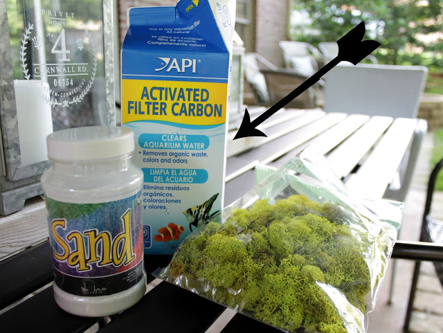 planting in non drainage containers