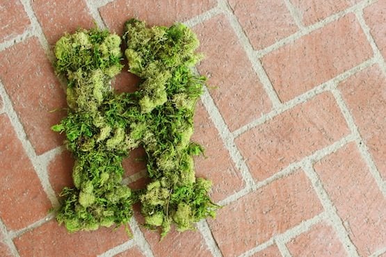 Moss Covered Door Monogram