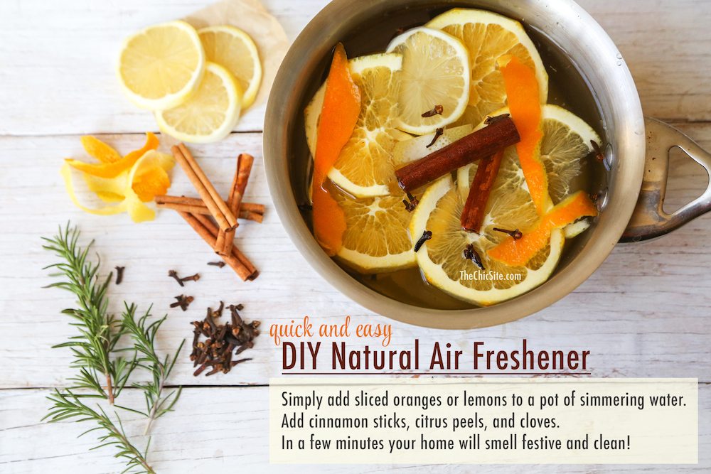 DIY Natural Air Freshener - Rachel Hollis