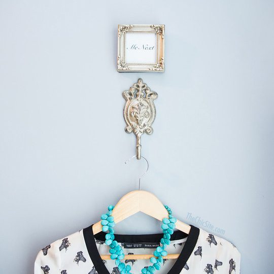 Closet Organization Hook