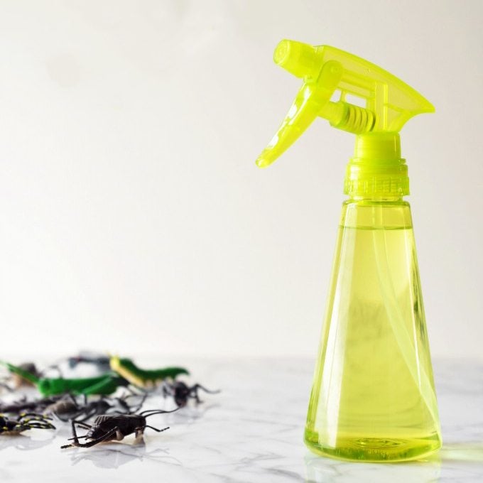DIY Bug Spray