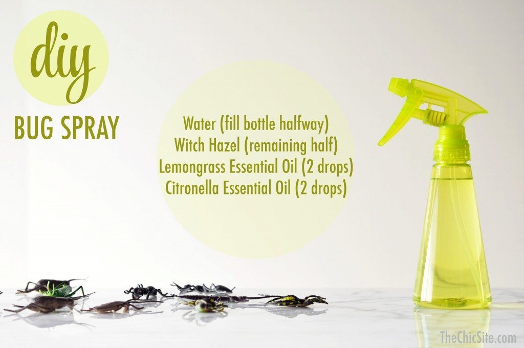 diy bug spray easy