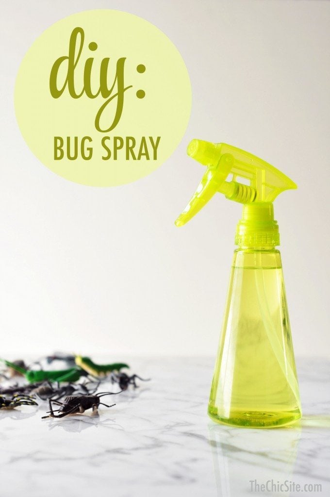 homemade bug spray at home