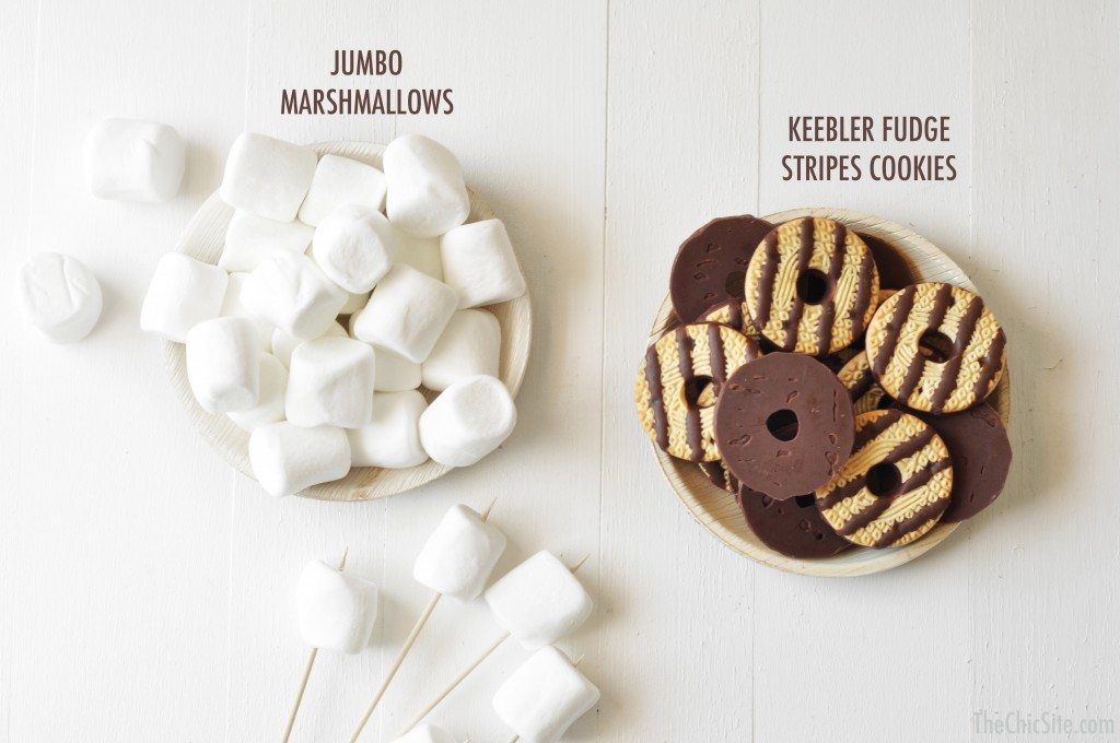 two ingredients s'mores