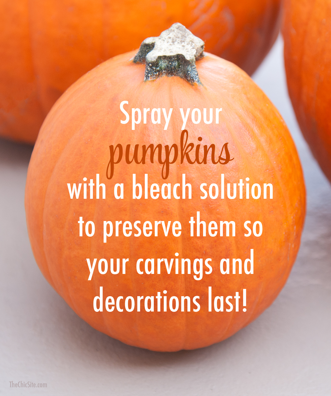 Perserve Pumpkins with Bleach