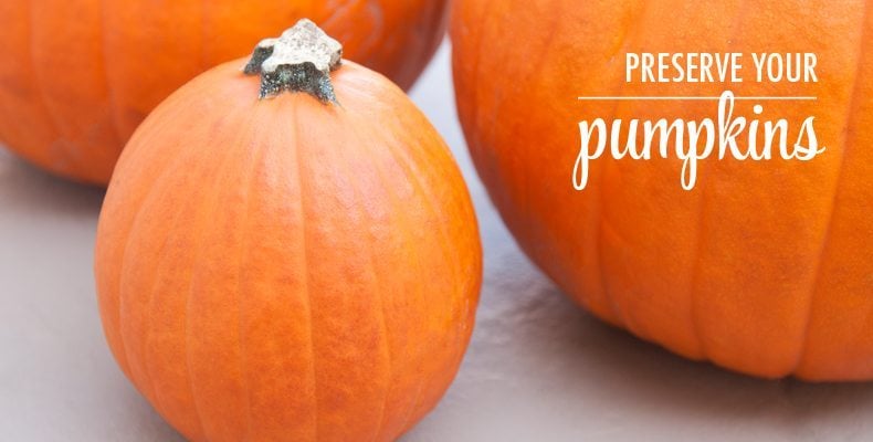 Perserve Your Pumpkins