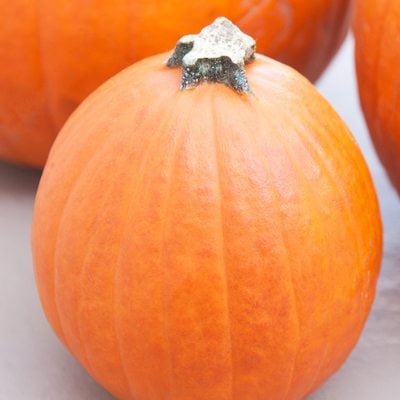 Preserve Your Pumpkins