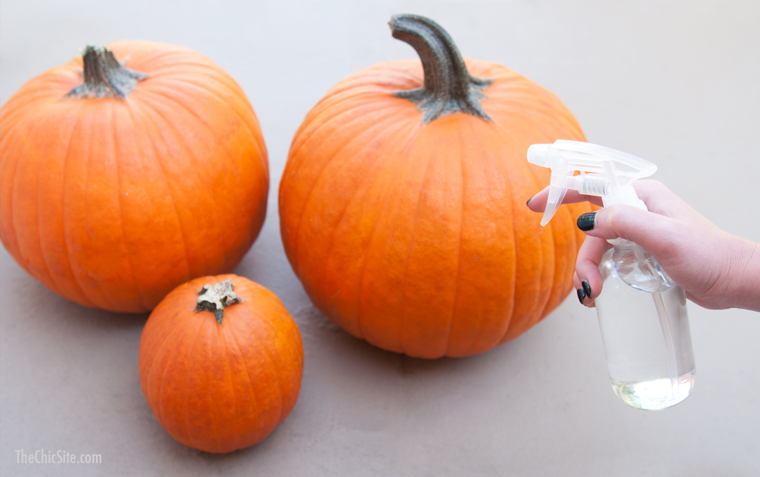 Spray Pumpkins with Bleach
