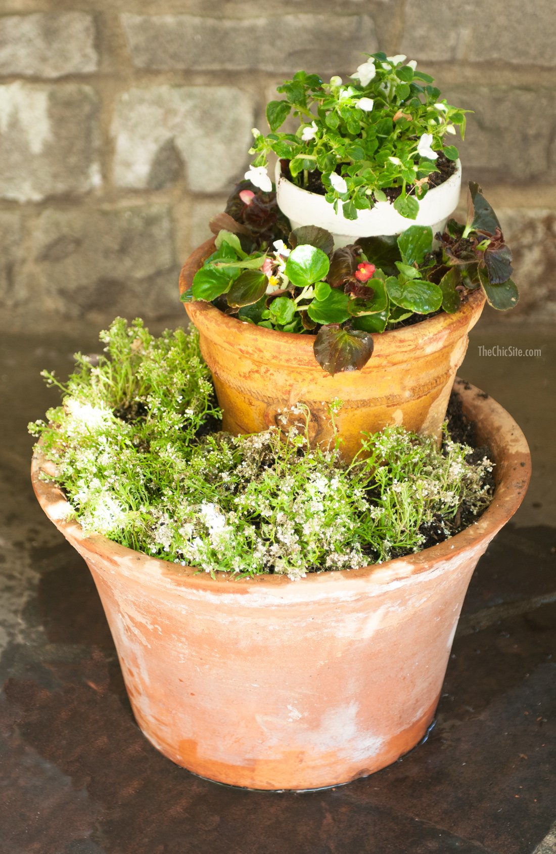 Reuse Old Plant Pots