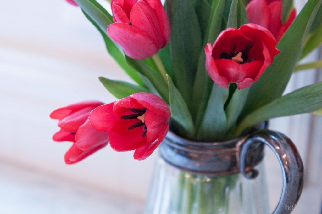 Rachel Hollis Kitchen-15