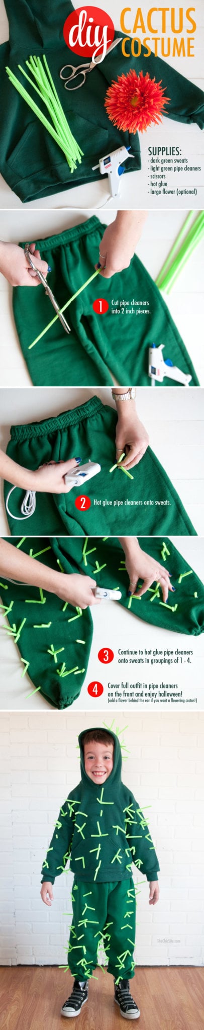 How to Make a Cactus Costume