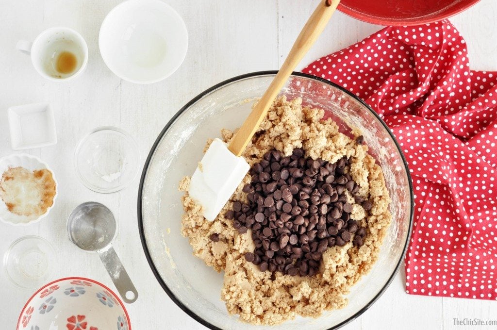 snickerdoodles with chocolate