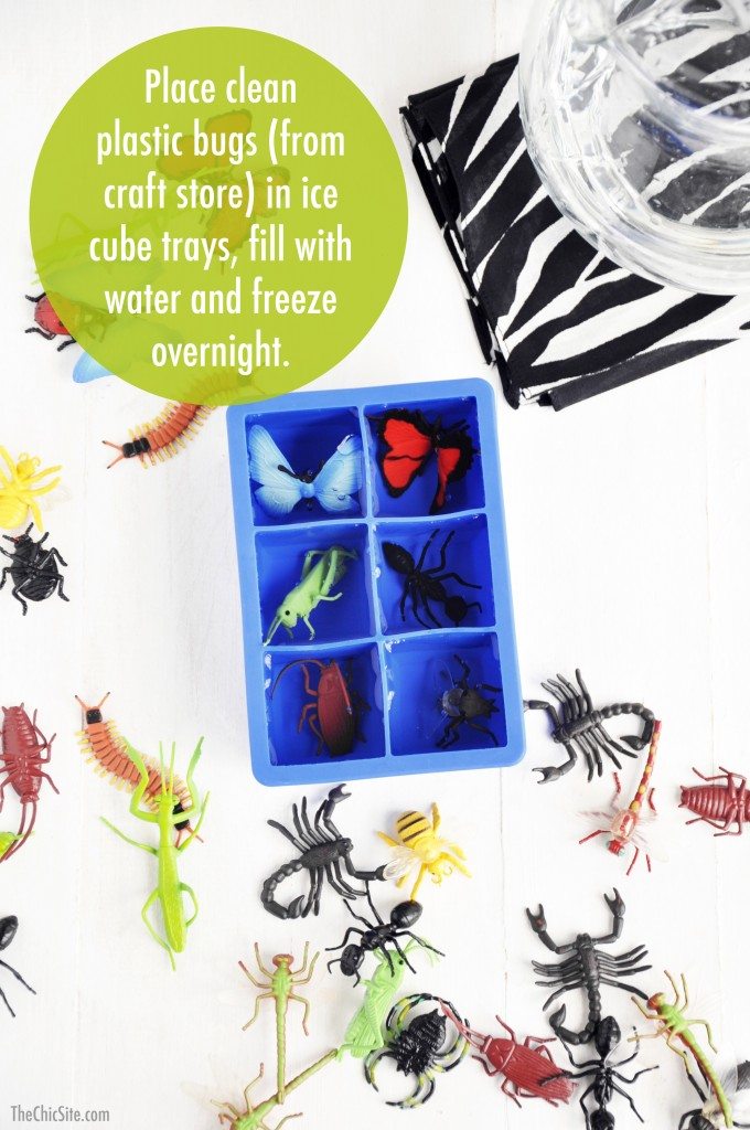 bug ice cubes