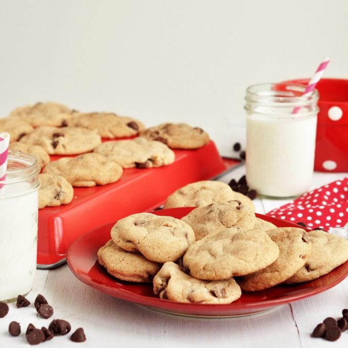 Chocolate Chip Snickerdoodles