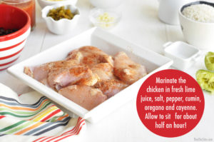 marinating-chicken copy