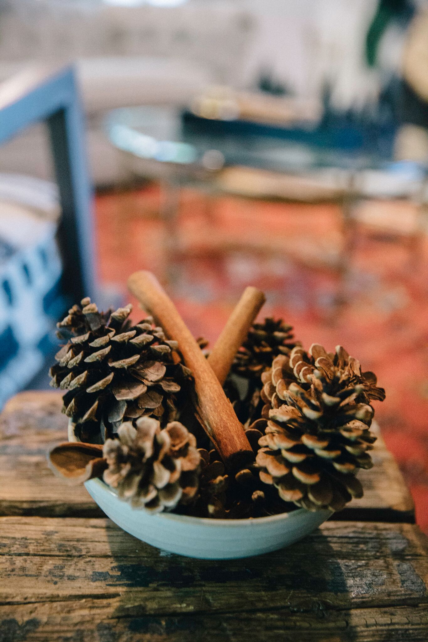 pinecones and cinnamon sticks | The Chic Site