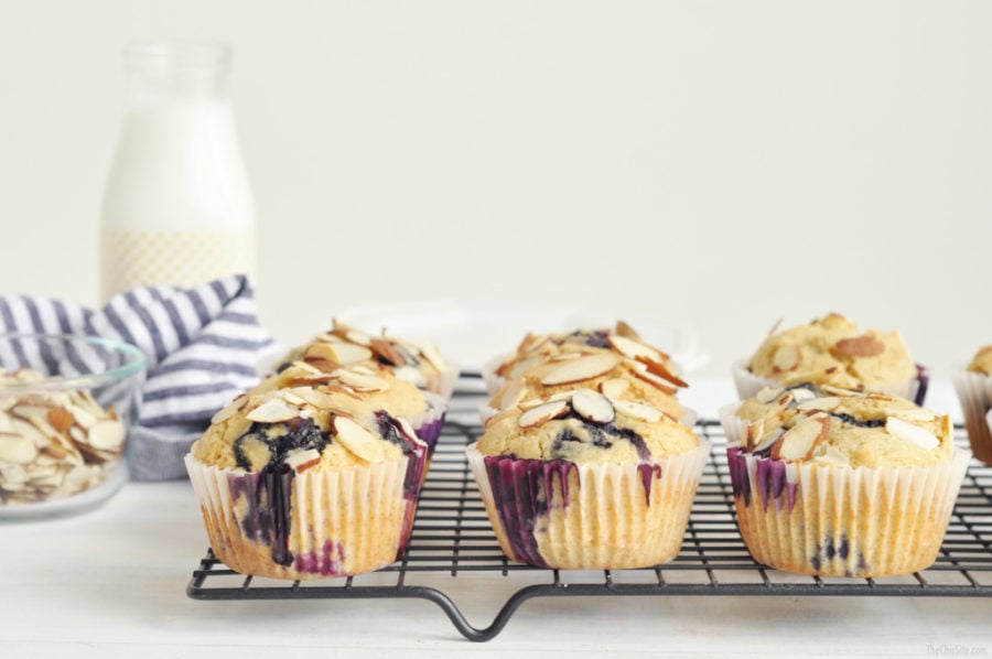 Blueberry Almond Protein Muffins