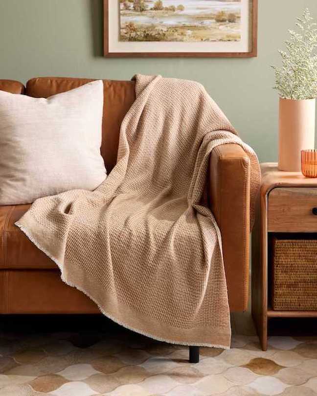 A pillow and a cashmere throw blanket on a couch in a room with a painting on the wall behind the couch and a nightstand next to it